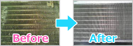 仕上がり一例 その3